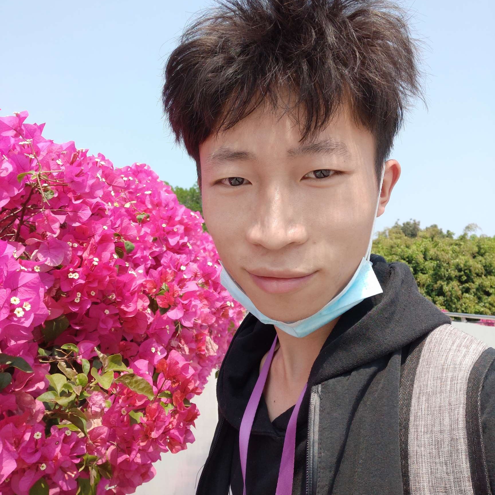 是桥呀的照片