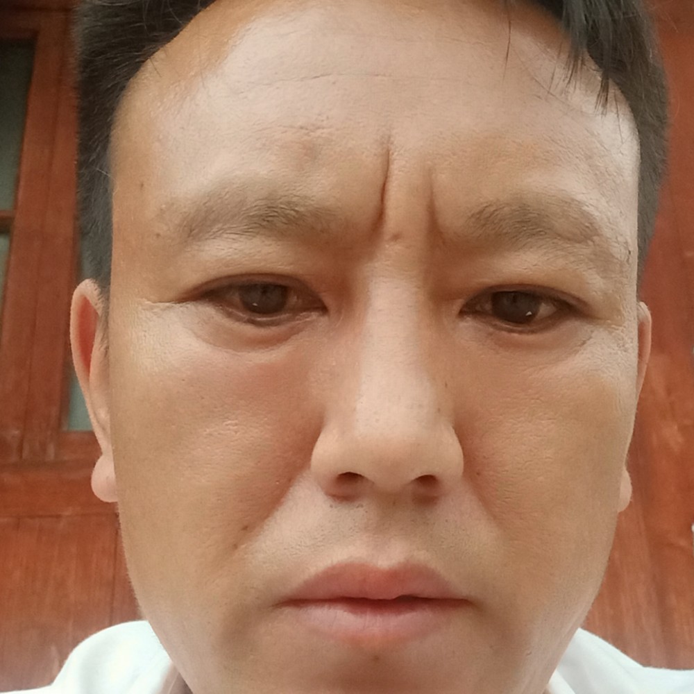 独特苦恋小懒虫的照片
