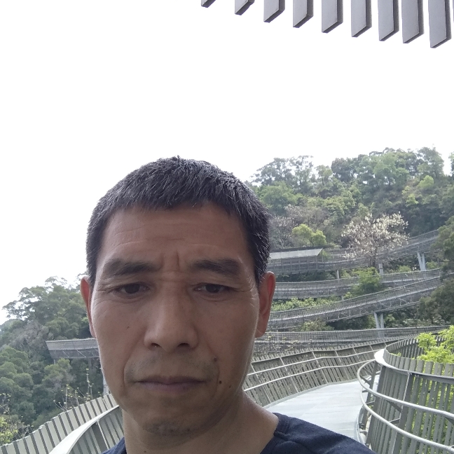 浅陌苦恋沉静的照片