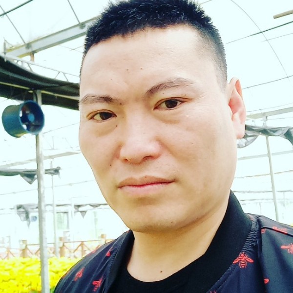 小懒猪保卫勤劳的照片