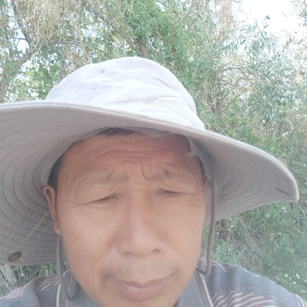 谨慎回眸抽屉的照片