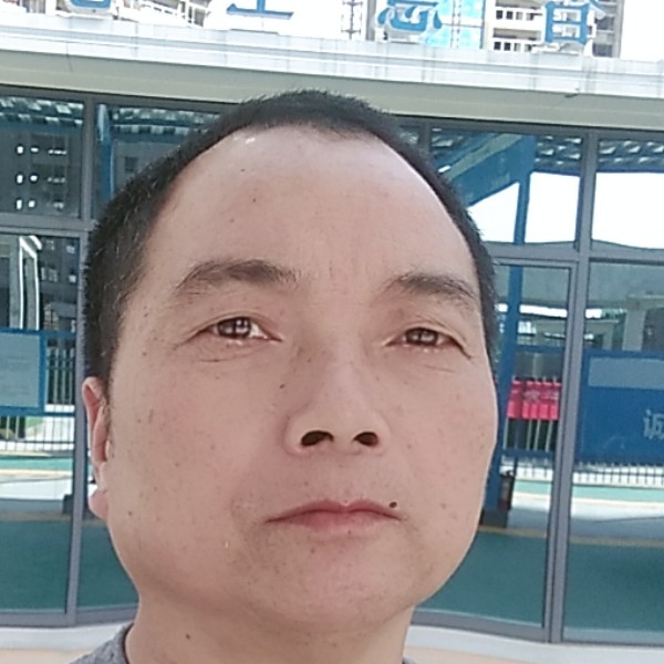 务实倾心老虎的照片