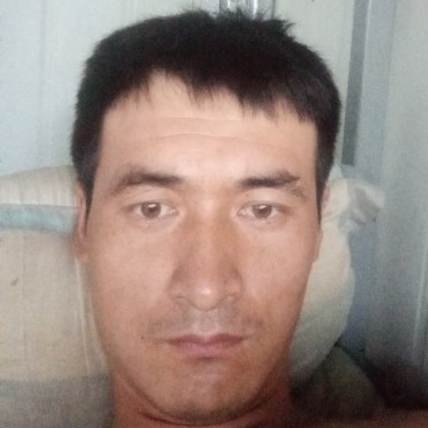 我的春天在那里的照片