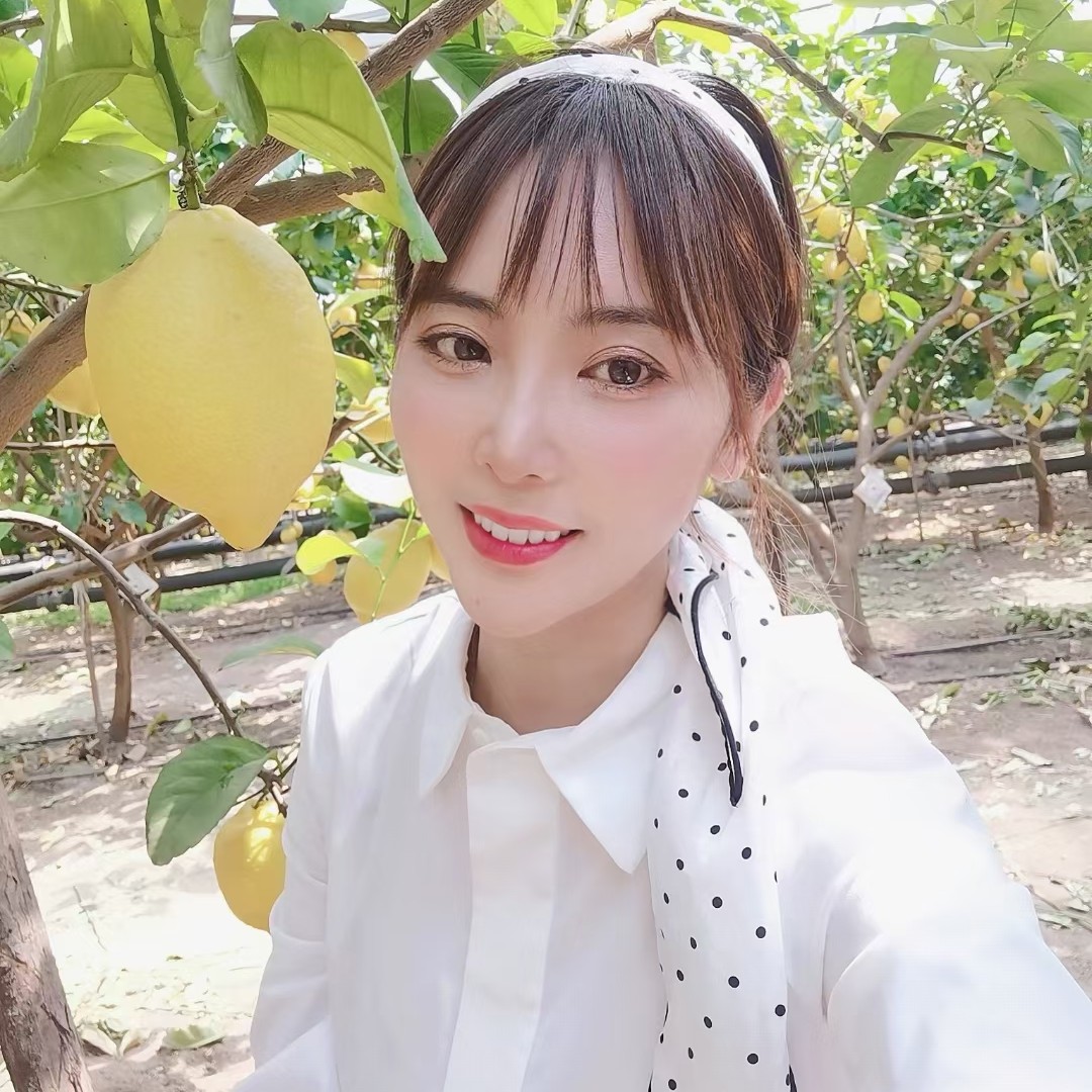 小海豚的照片
