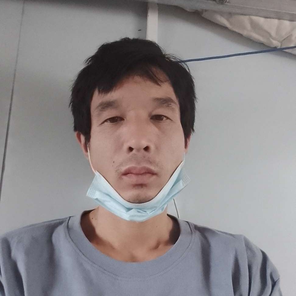 无奈演变仙人掌的照片