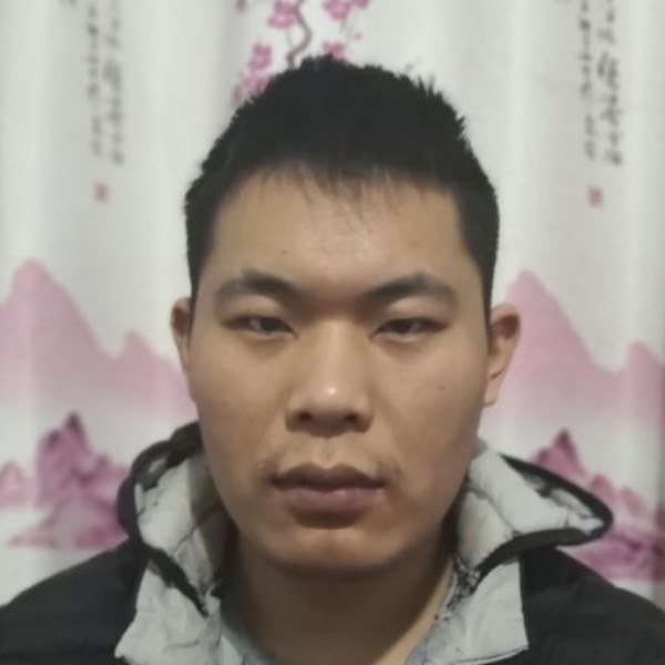 白菜月季落落的照片