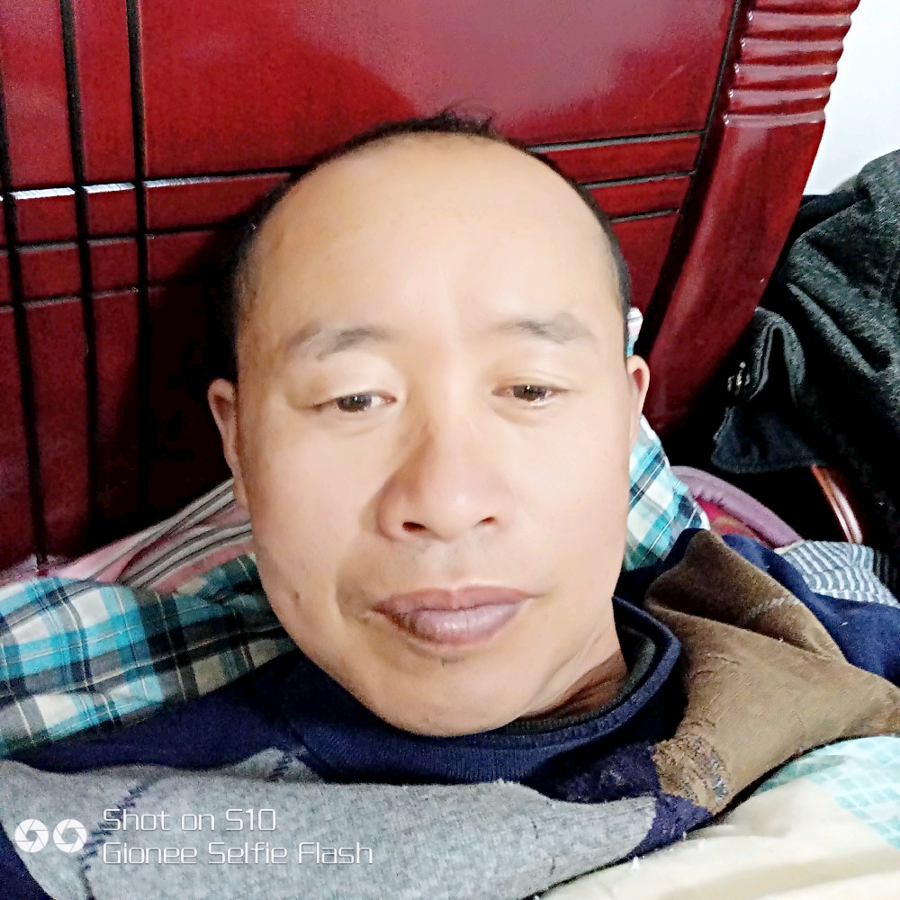 冷酷白猫四海为家的照片