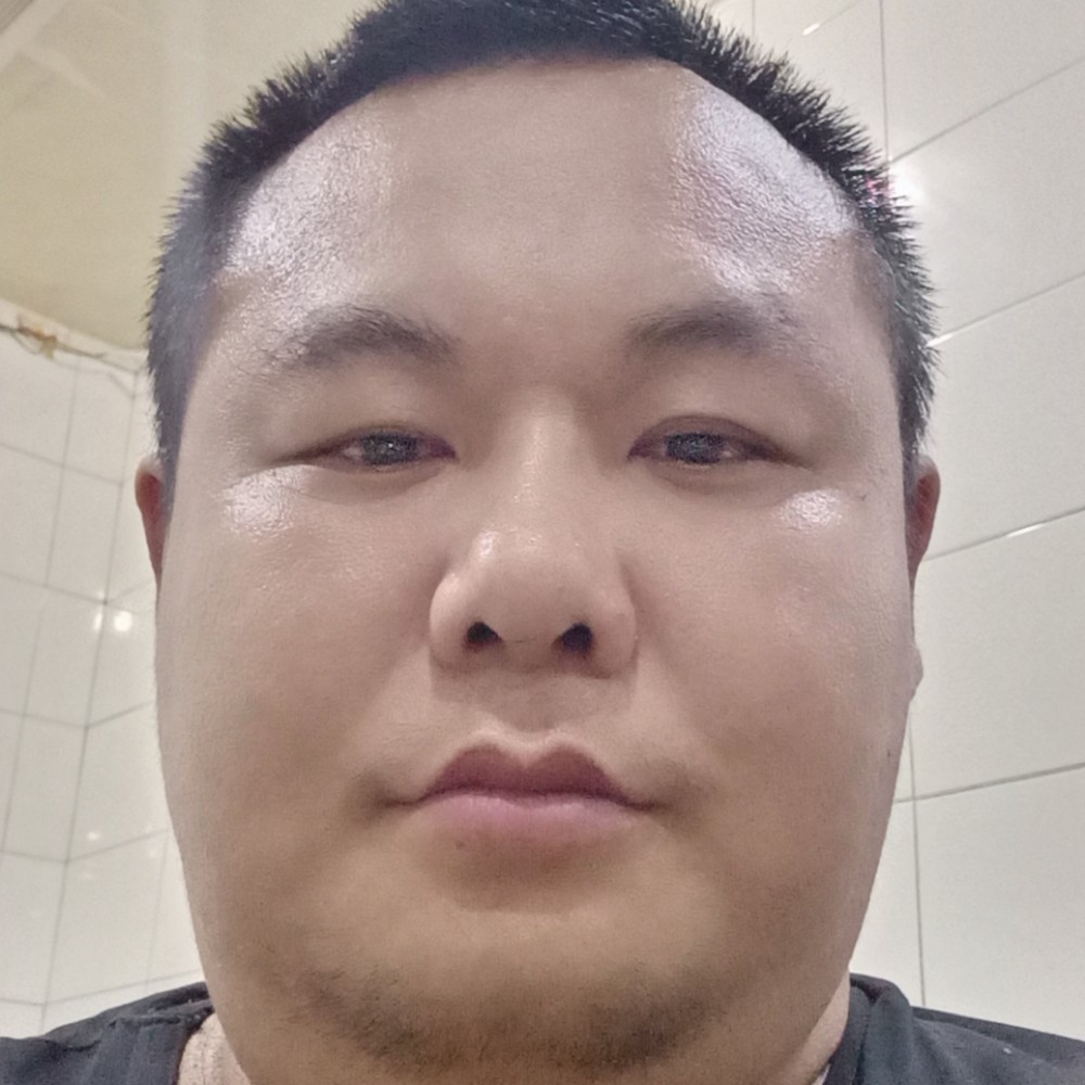 斑马恬静的照片