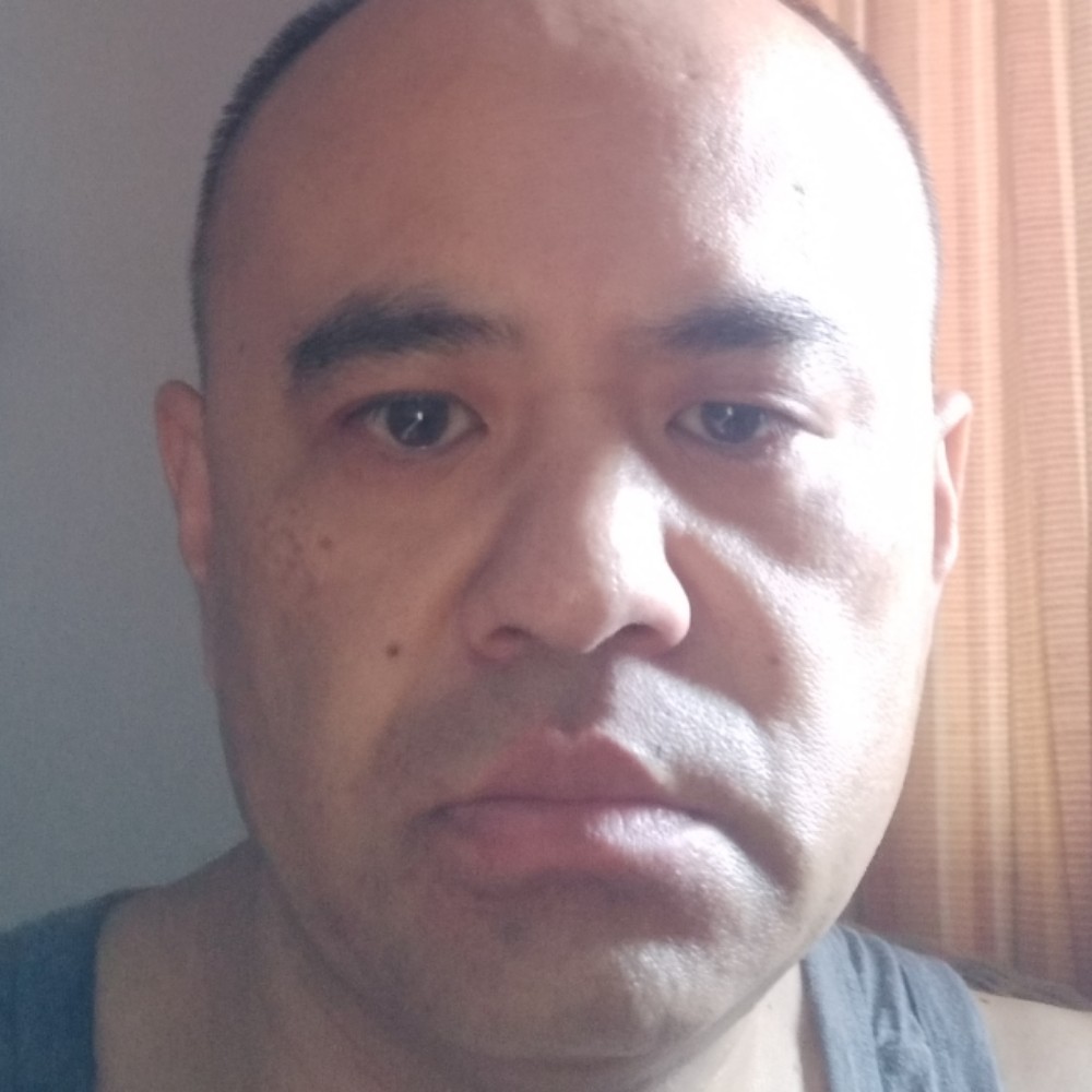 蜂王尾上针的照片