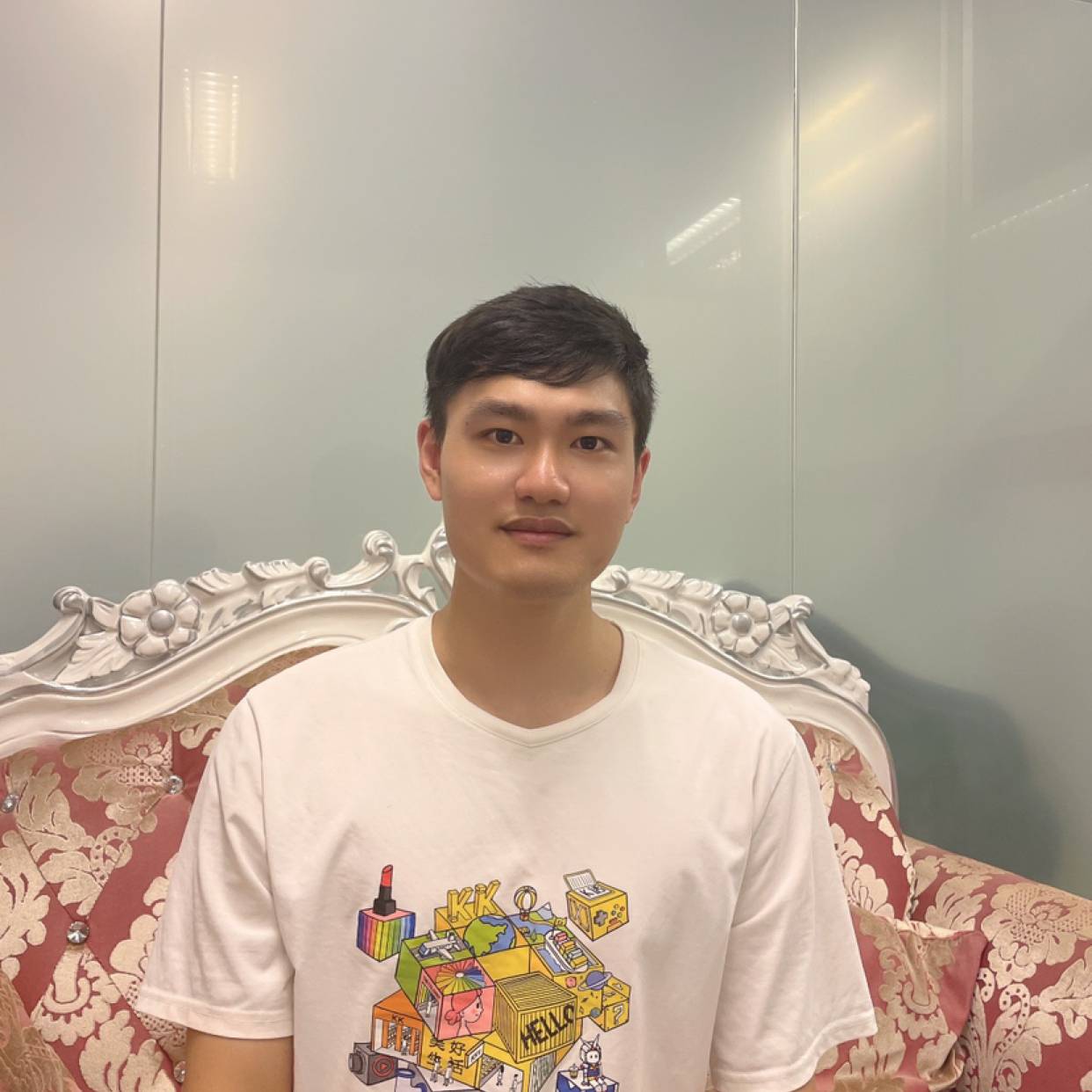 唯一的挽手鸭子的照片