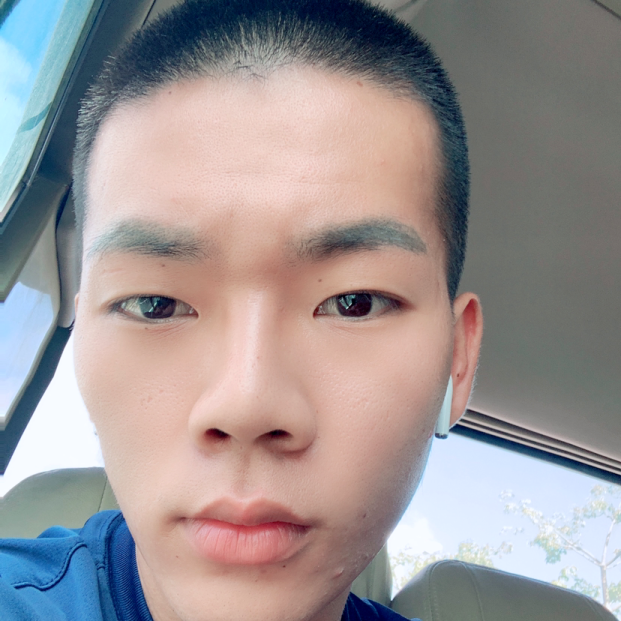 蘩藜健壮的照片