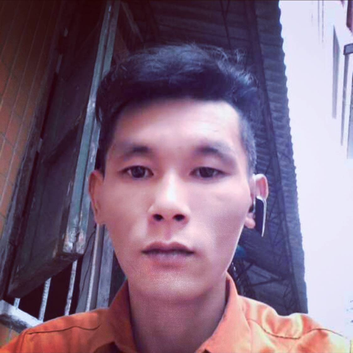 糊涂说灰狼的照片
