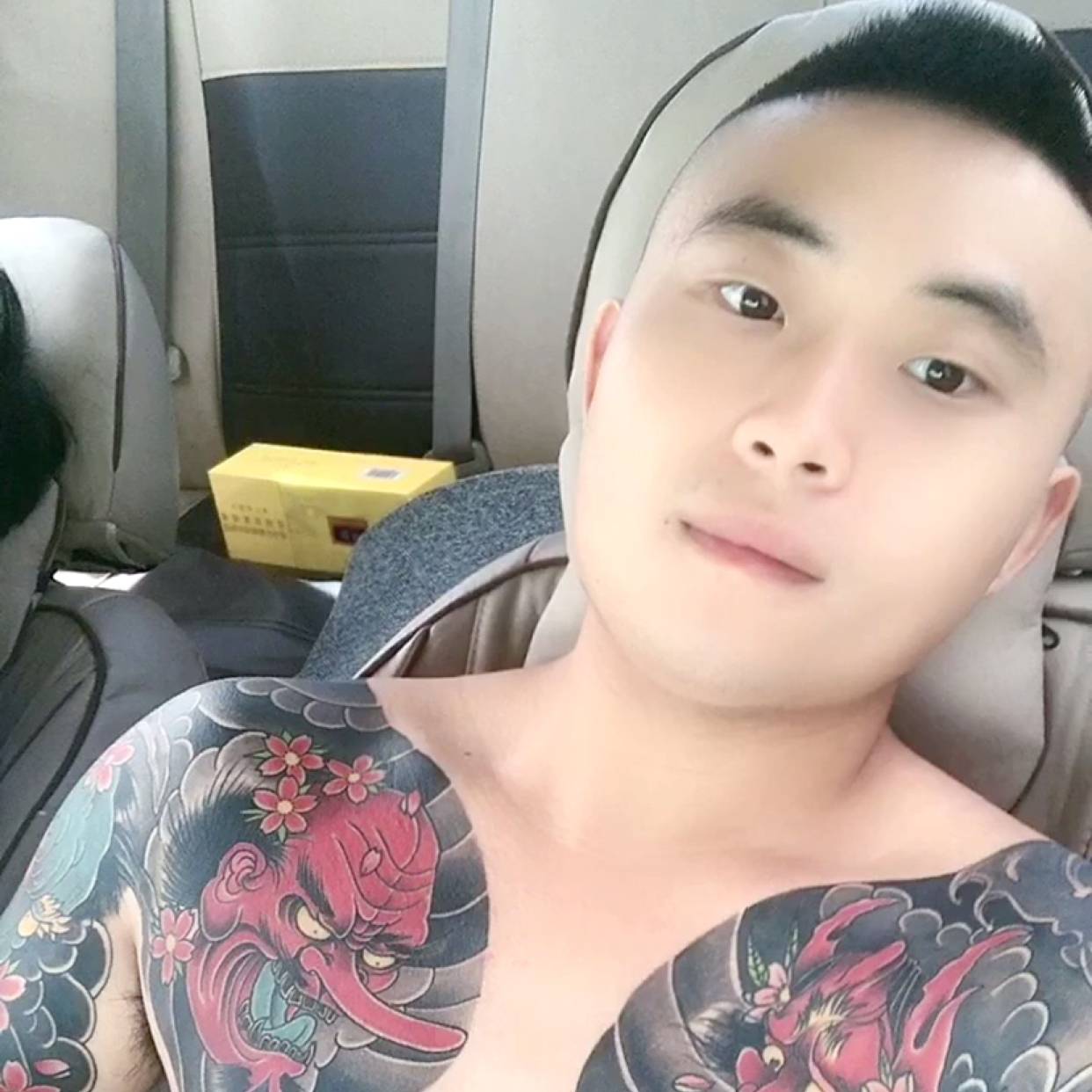 吃猫的鱼的照片