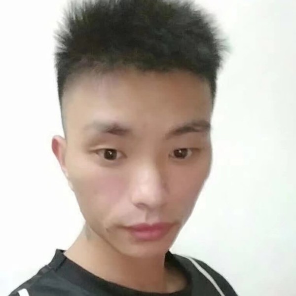 刺猬忧虑的照片