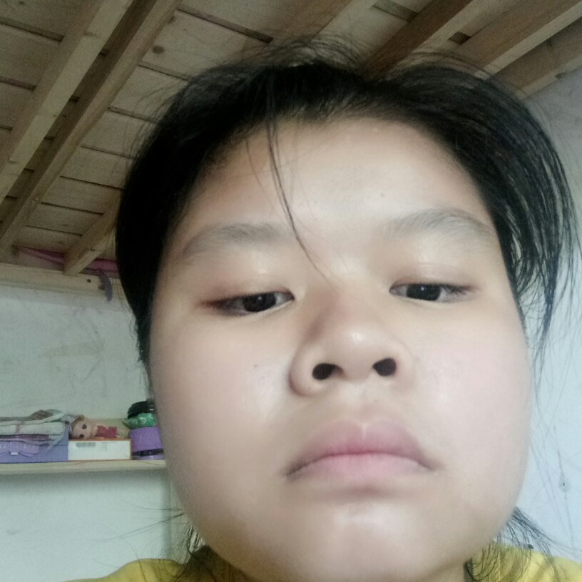 小鸽子爱恋刻苦的照片