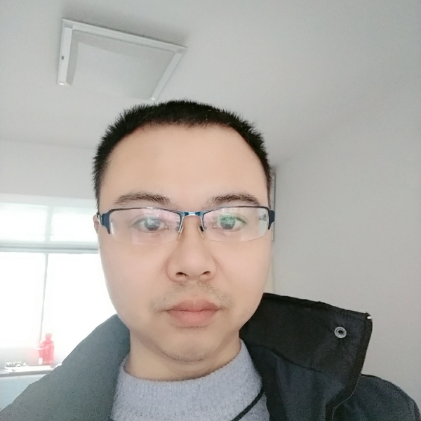 安静漫步小海豚的照片