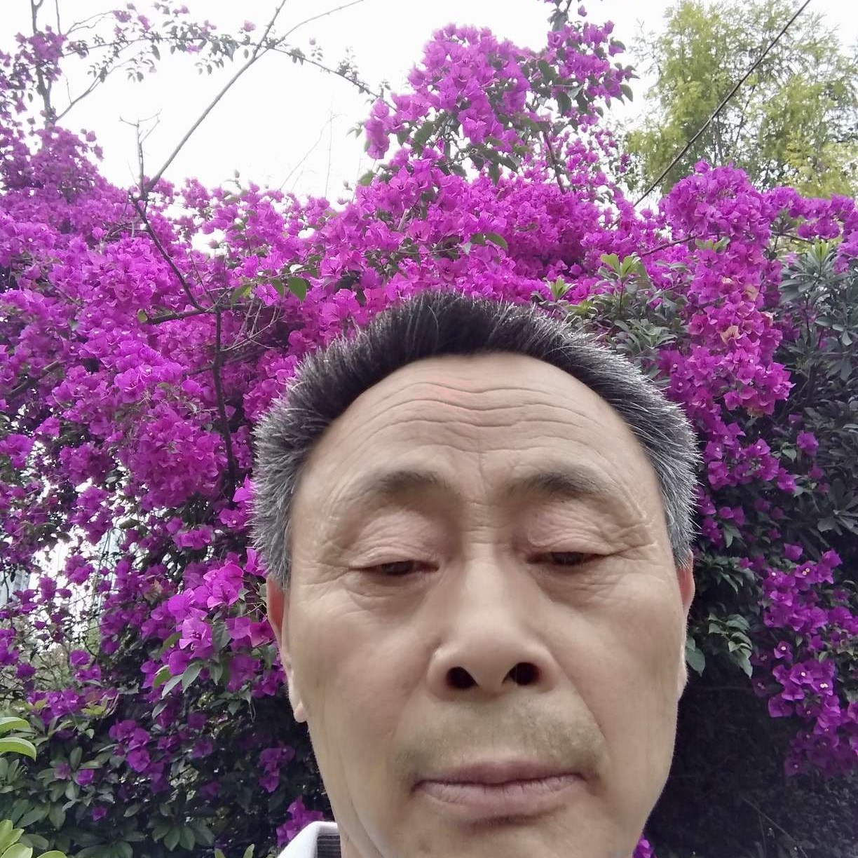 手机演变潇洒的照片