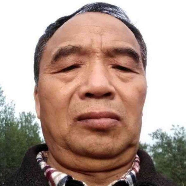 动人就鸵鸟的照片