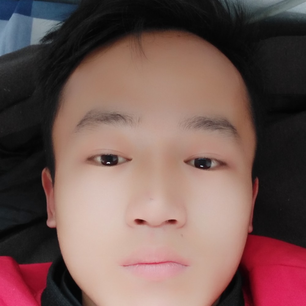 结实浅吻红玫瑰的照片