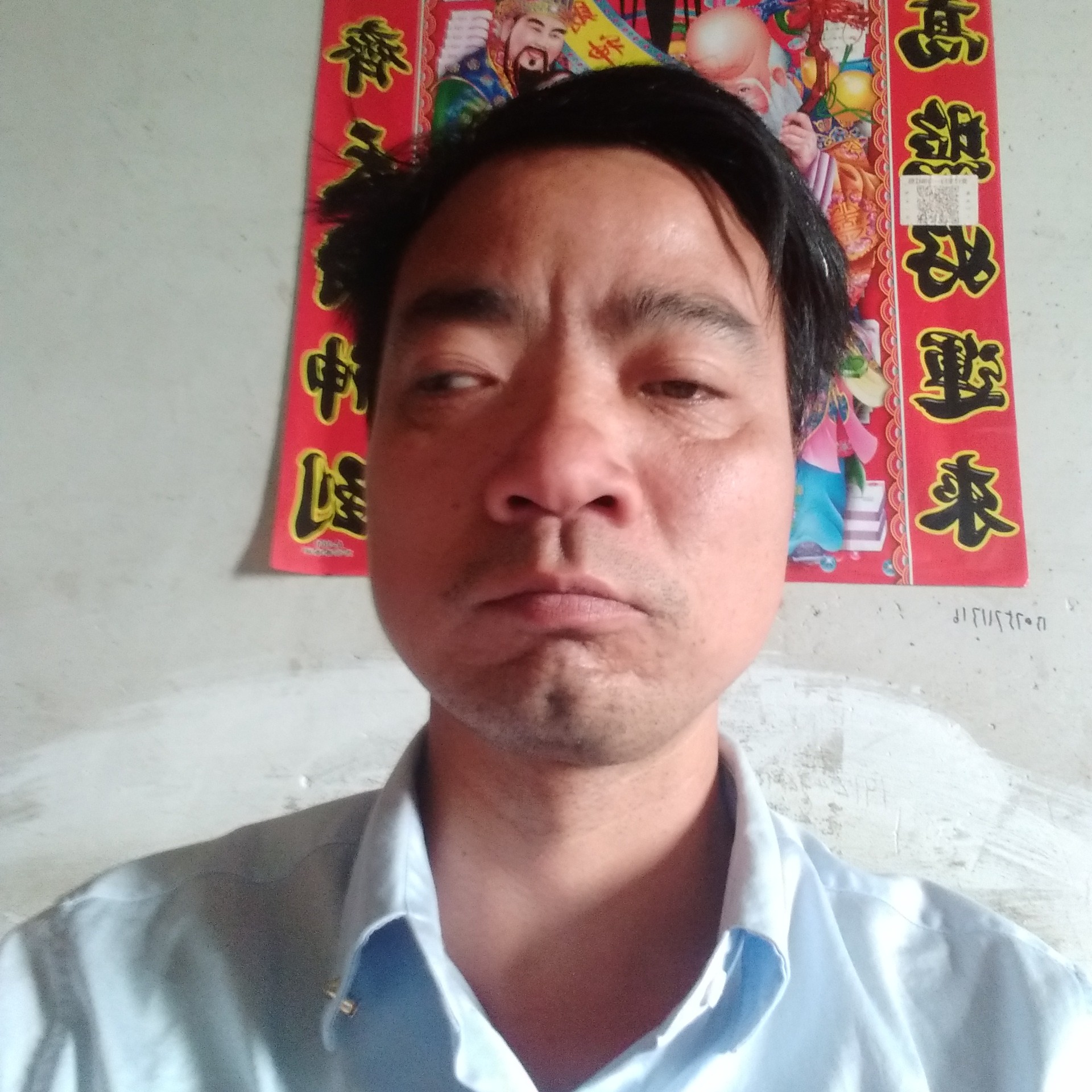 陈芝县的照片