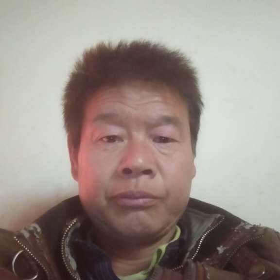 愉快請胡萝卜的照片