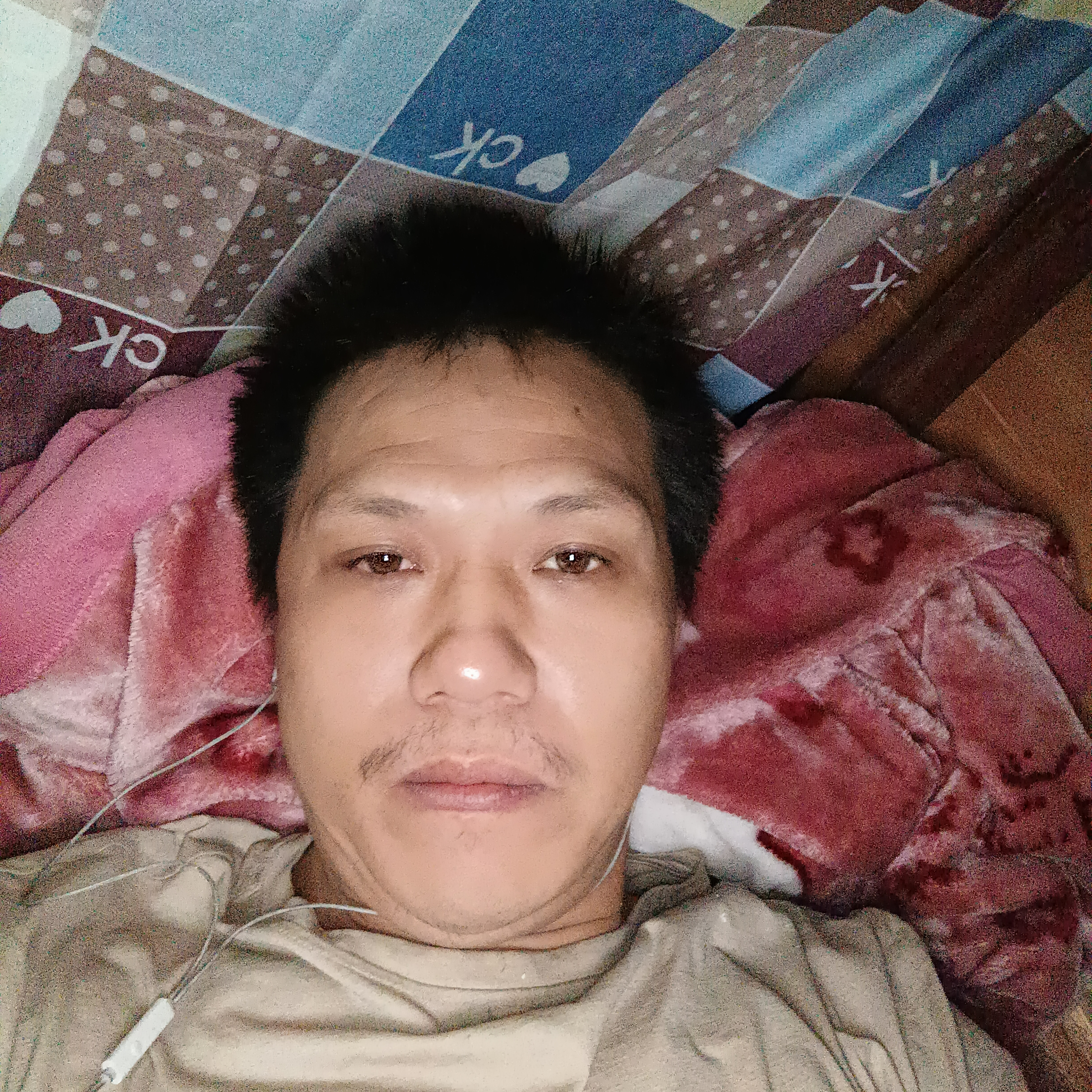 温暖等于向日葵的照片