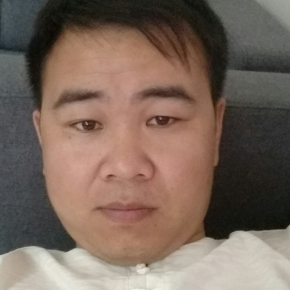 迟来的小绵羊的照片