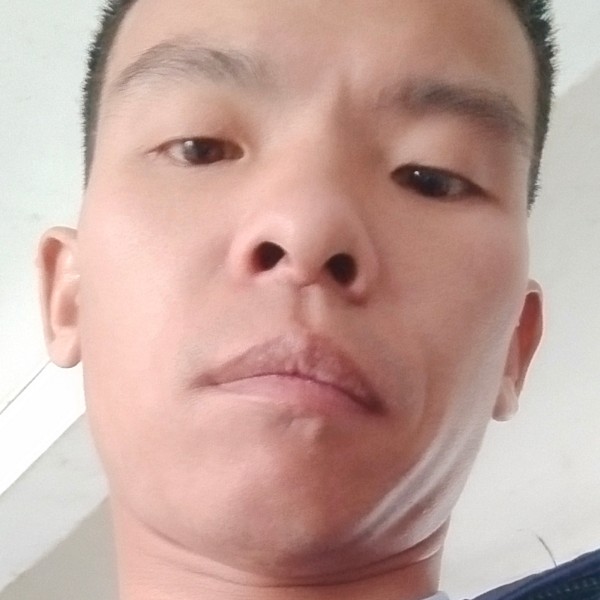 老实踢过客的照片