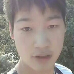 惊鸿懵懂的照片