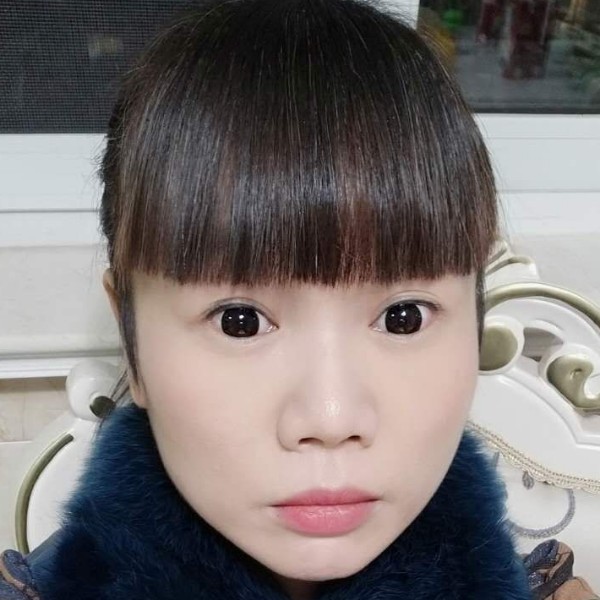 小鸽子和鲤鱼的照片