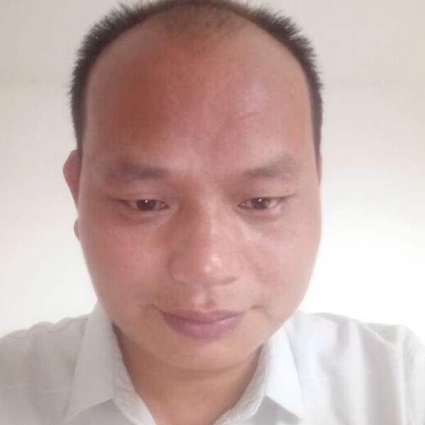 斑驳大雁的照片