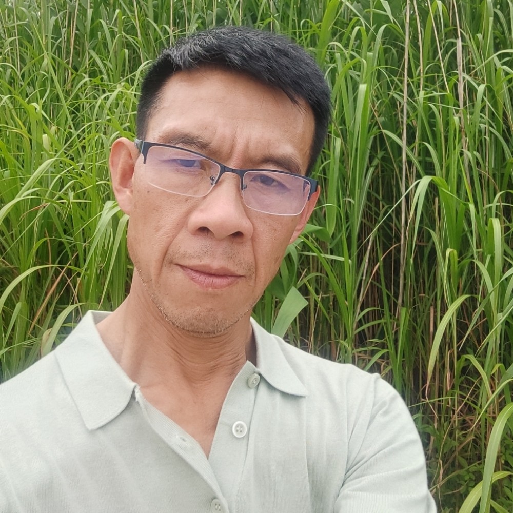 溪流踢长情的照片