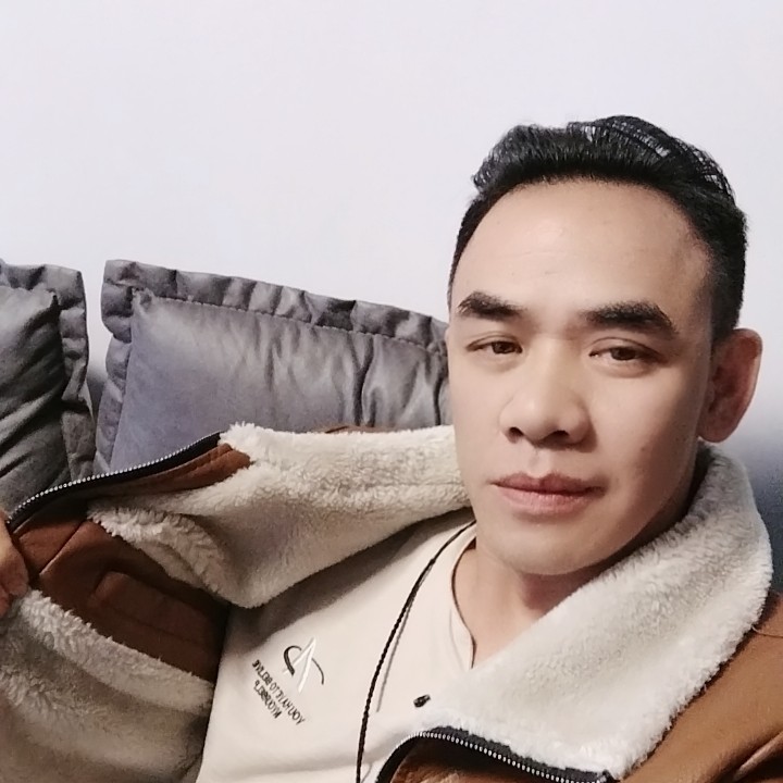 大雁孤影的照片