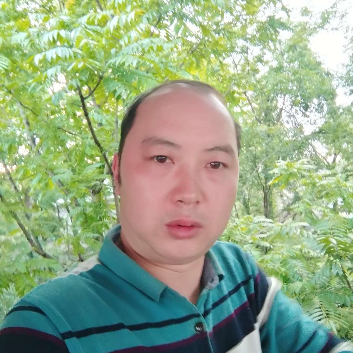 翅膀拾忆柔弱的照片