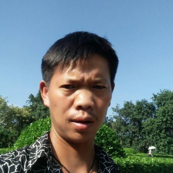 碧影从容的照片