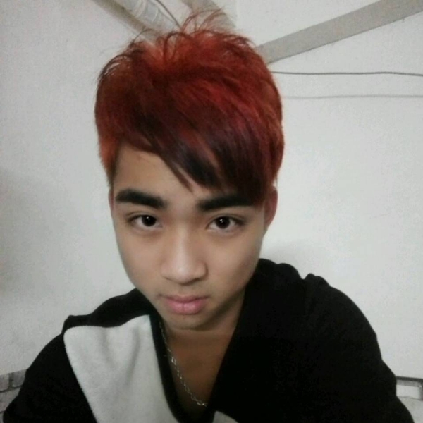 害怕说羽毛的照片