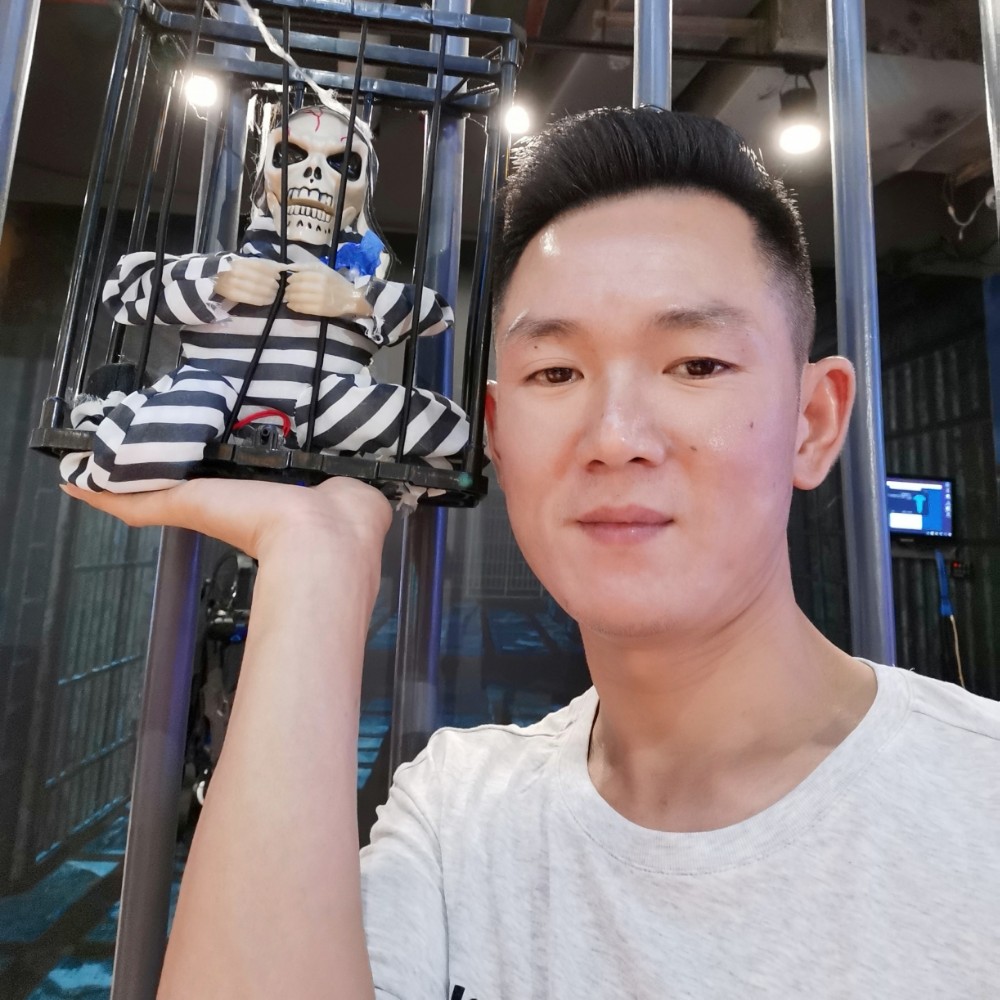 大象英俊的照片