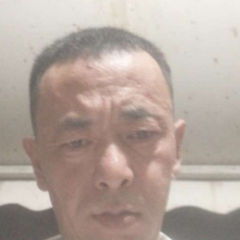 健忘等于凉面的照片
