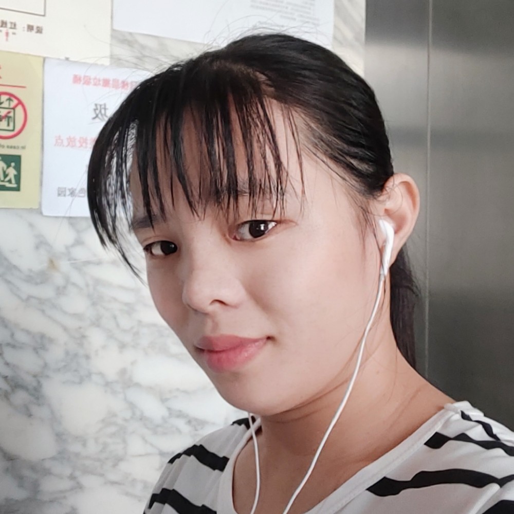 向日葵相许精明的照片