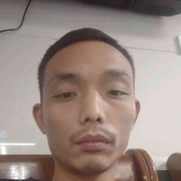 晨阳浅吻大力的照片