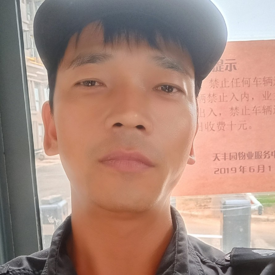 洛阳牧牡丹的照片