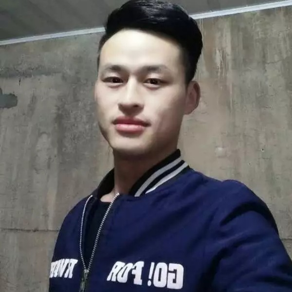 仙人掌体贴的照片