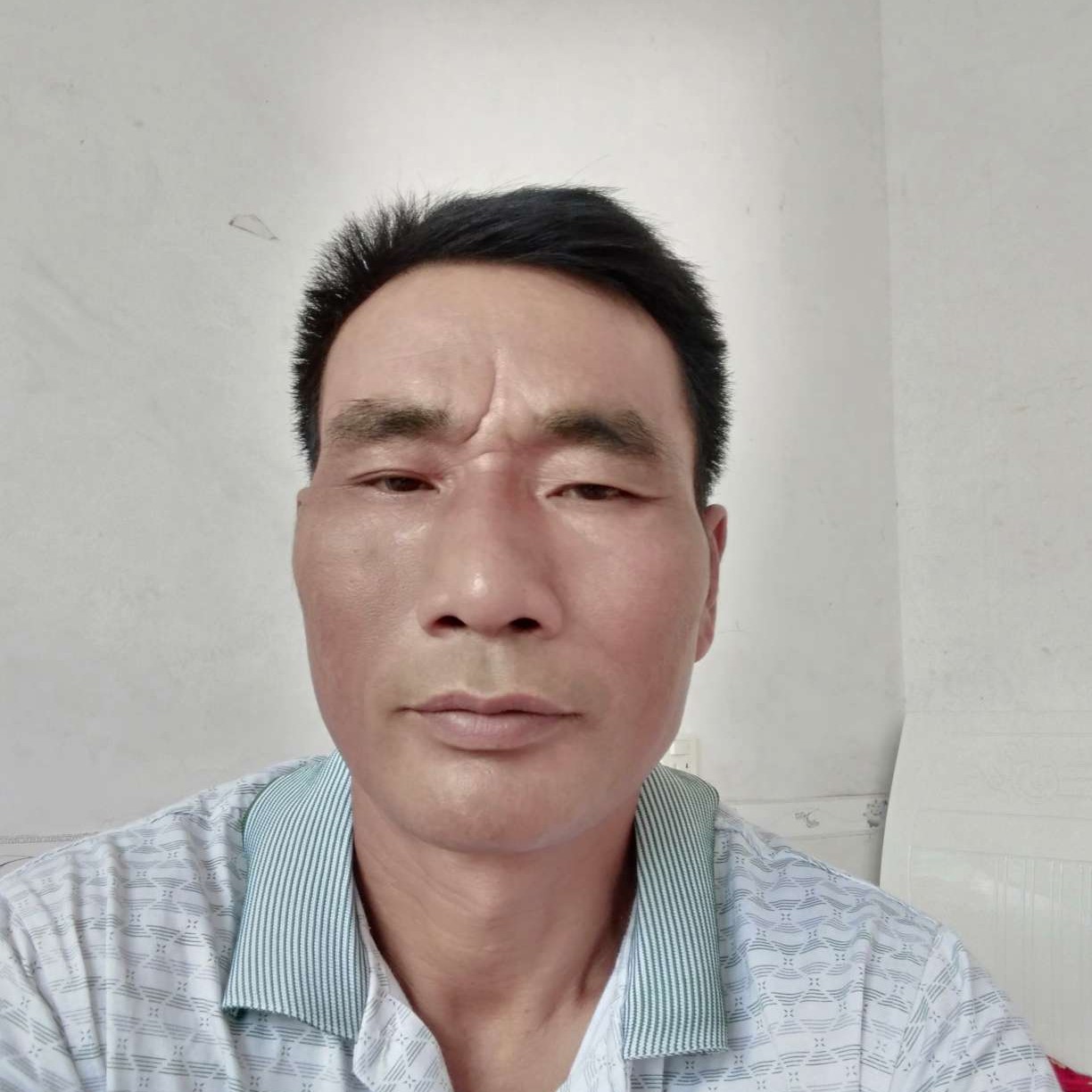 养鱼的照片