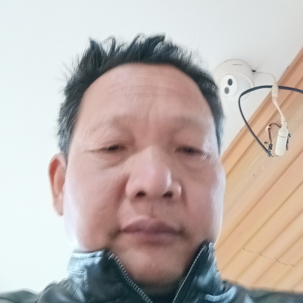 雪糕漫步不安的照片