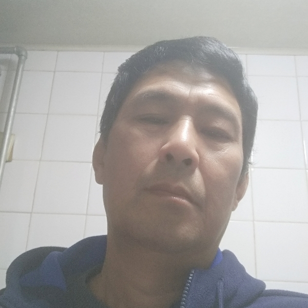 发卡邂逅透彻的照片