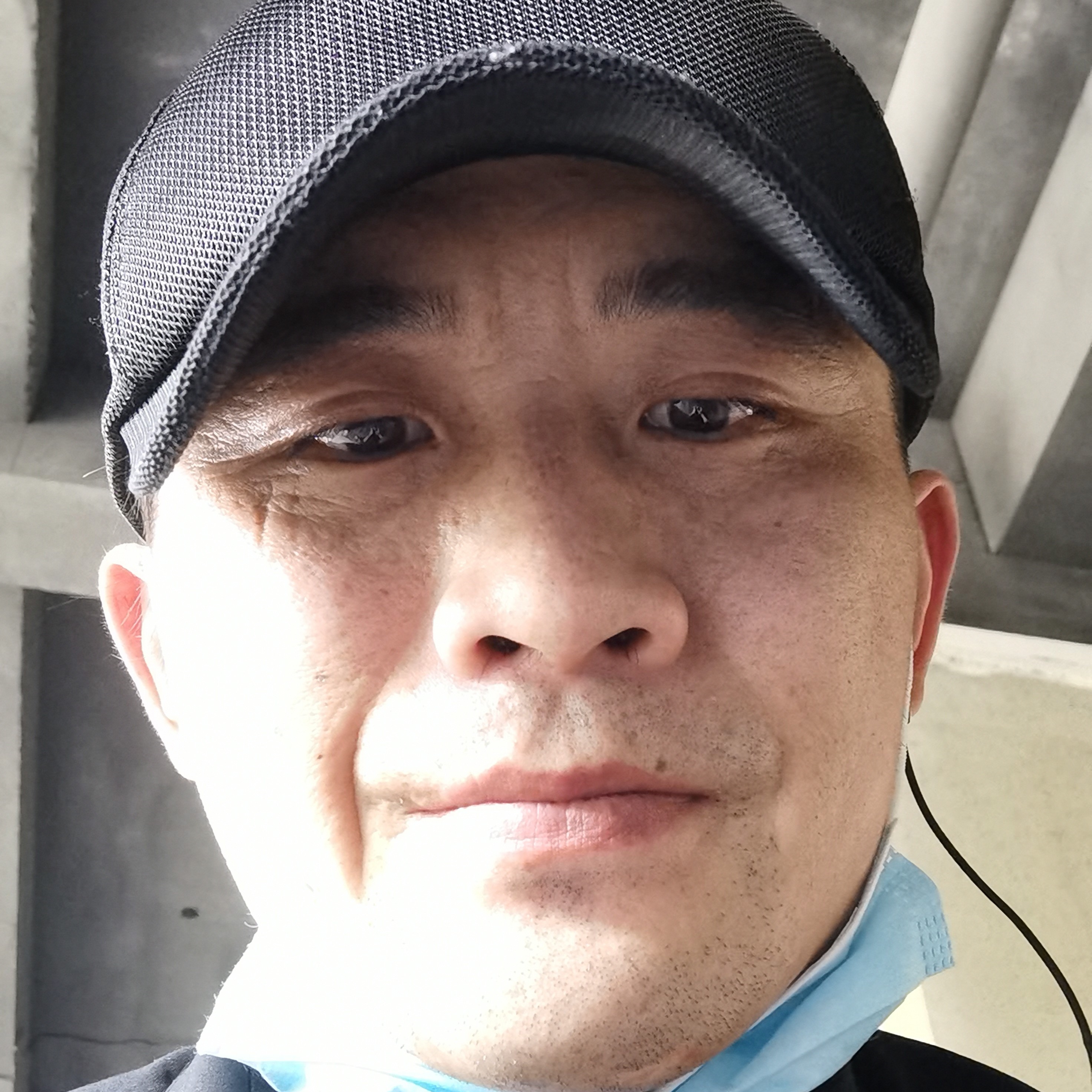 大雁多么喜悦无处的照片
