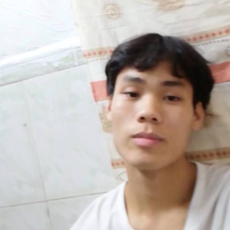 搞怪的野狼的照片
