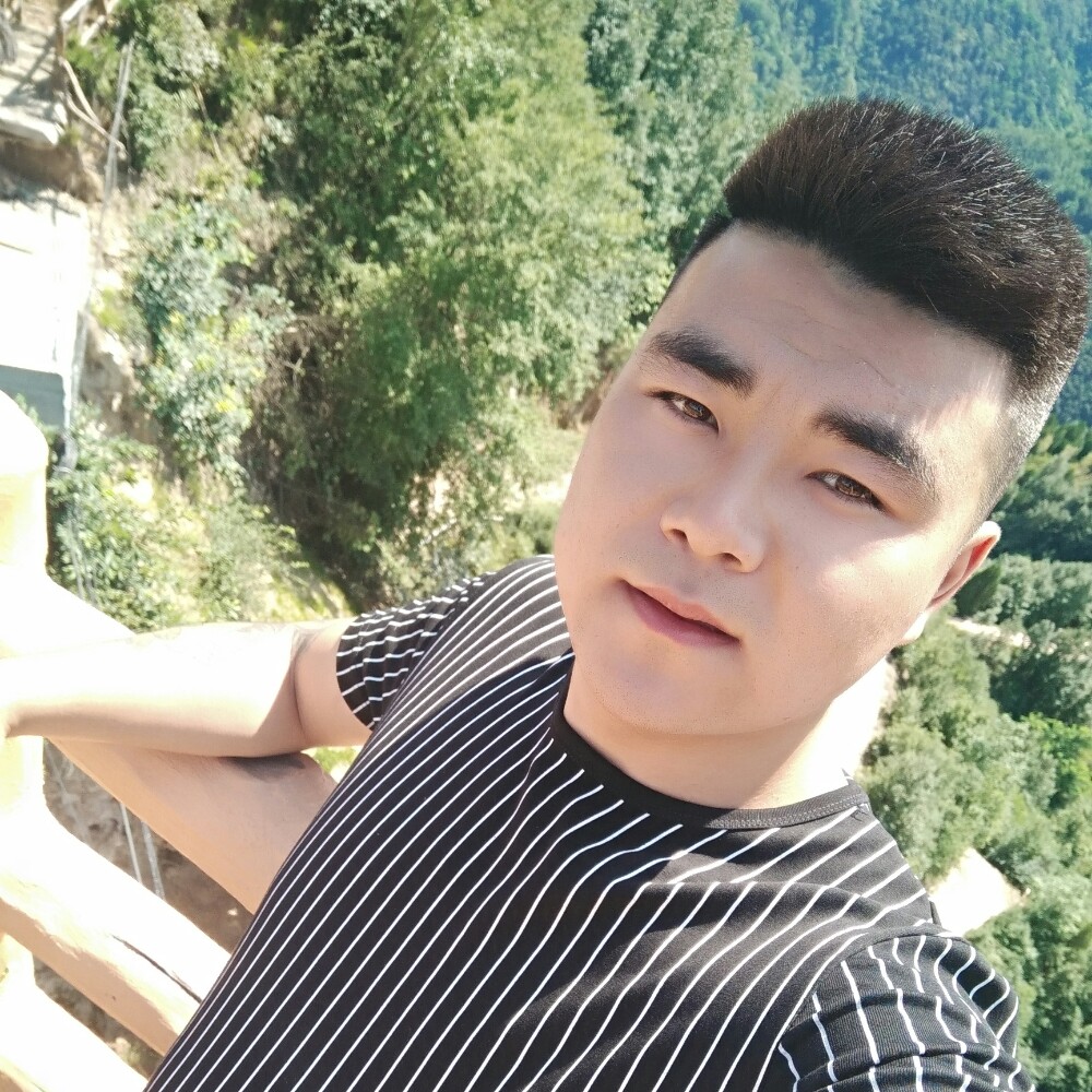 零碎洋葱的照片