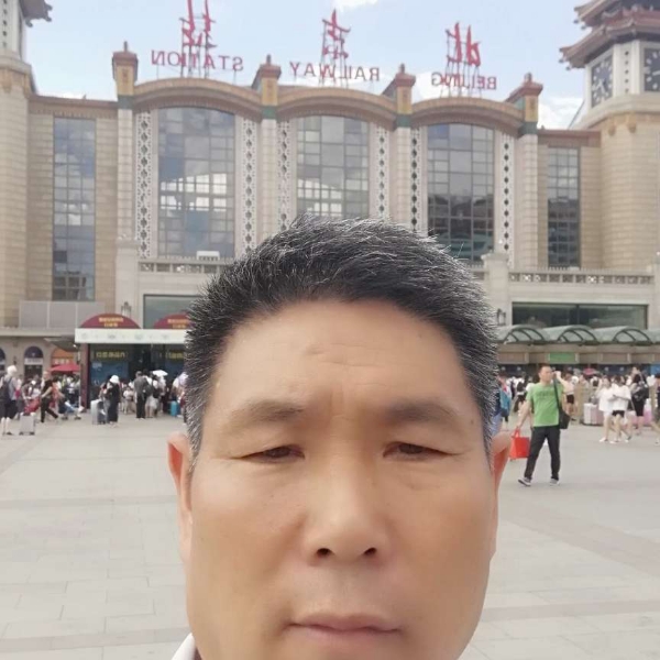 小猫咪放弃认真的照片