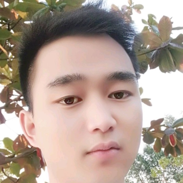 曲奇拾忆优雅的照片